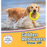 Golden Retrievers Show Off