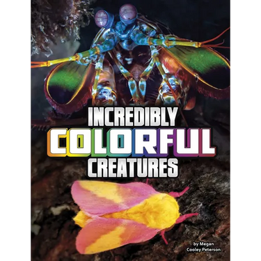 Incredibly Colorful Creatures