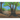 Little Seed's Journey