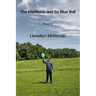 The Manifesto and Its Blue Ball
