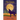 Tin Coyote