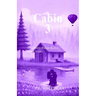 Cabin 3