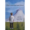 What Cannot Stay Small Forever