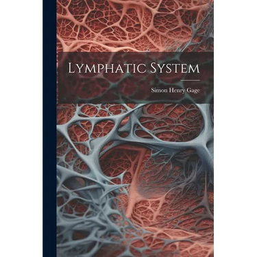 Lymphatic System