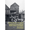 Red Summer: The Racial Violence of 1919 and the Birth of the Civil Rights Movement