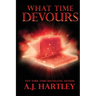 What Time Devours