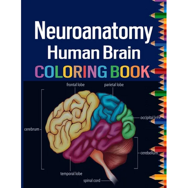 Neuroanatomy Human Brain Coloring Book: Colorful introduction to the anatomy of the human brain model for neuroscience