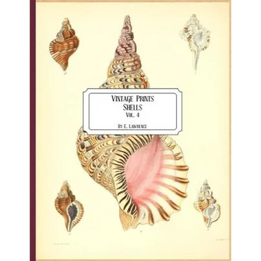 Vintage Prints: Shells: Vol. 4