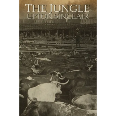 The Jungle