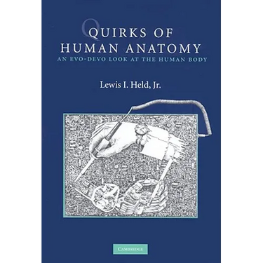 Quirks of Human Anatomy