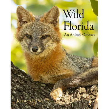 Wild Florida: An Animal Odyssey