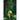 An Echo of the Fae
