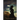 The Last Cathar