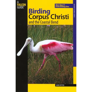 Birding Corpus Christi and the Coastal Bend