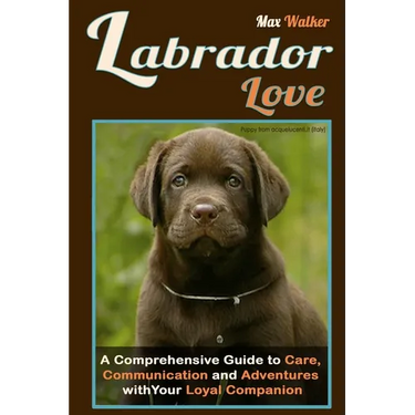 Labrador Love: A Comprehensive Guide to Care, Communication, and Adventures with Your Loyal Companion - From Labrador Retriever Origi
