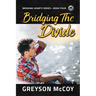 Bridging the Divide