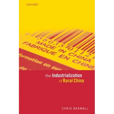 The Industrialization of Rural China