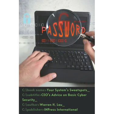 Your System's Sweetspots: CEO's Advice on Basic Cyber Security