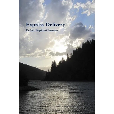 Express Delivery