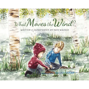What Moves the Wind?