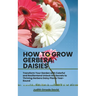How to Grow Gerbera Daisies: Transform Your Garden with Colorful and Resilient and Unlock the Secrets to Thriving Gerbera Daisy Plants Year-Round