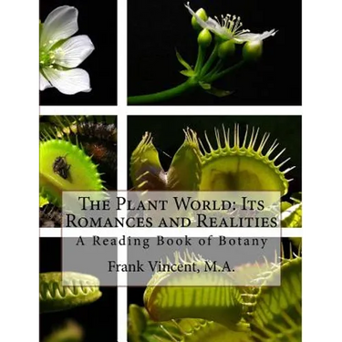 The Plant World: Its Romances and Realities: A Reading Book of Botany