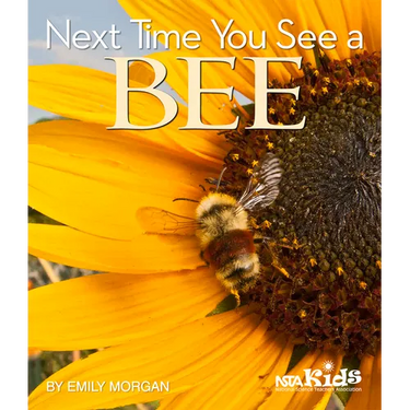 Next Time You See a Bee