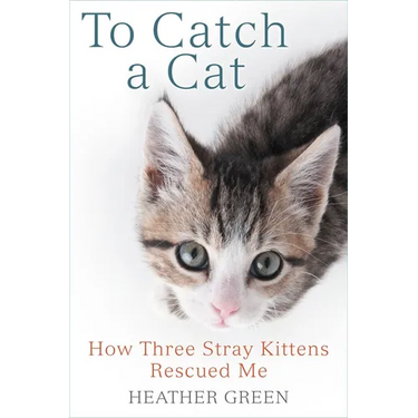 To Catch a Cat: How Three Stray Kittens Rescued Me