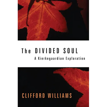 The Divided Soul