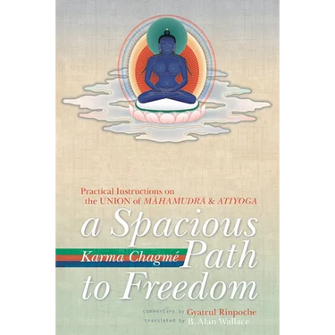 A Spacious Path to Freedom: Practical Instructions on the Union of Mahamudra and Atiyoga