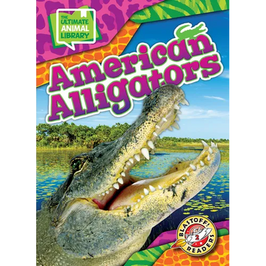 American Alligators