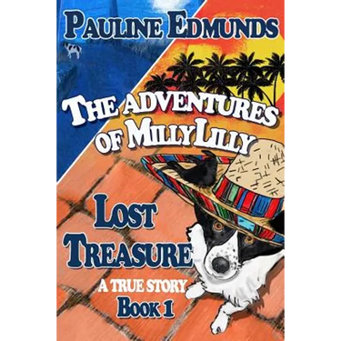 Lost Treasure The Aventures of MillyLilly Book 1