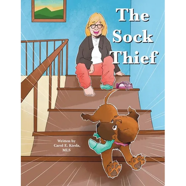 The Sock Thief
