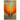 On Angel's Wings-A Miraculous Survival (New Edition)