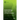 Epidemiology and Control of Plant Diseases