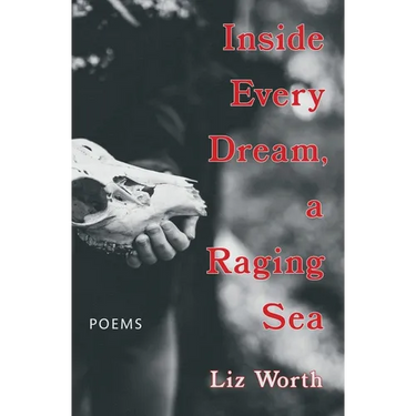 Inside Every Dream, a Raging Sea