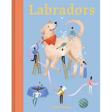 Labradors