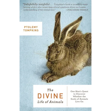 The Divine Life of Animals: One Man's Quest to Discover Whether the Souls of Animals Live On