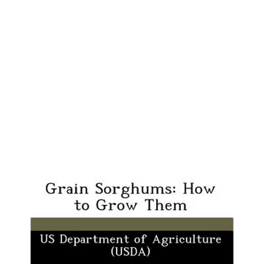 Grain Sorghums: How to Grow Them