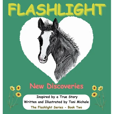 Flashlight - New Discoveries: Flashlight
