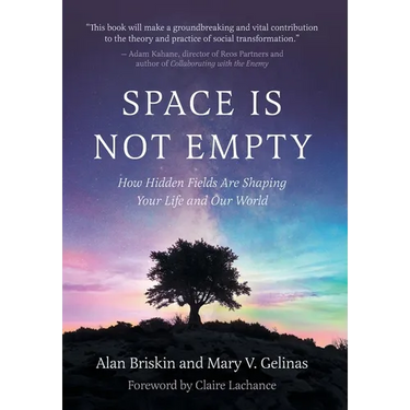 Space Is Not Empty: How Hidden Fields Are Shaping Your Life and Our World