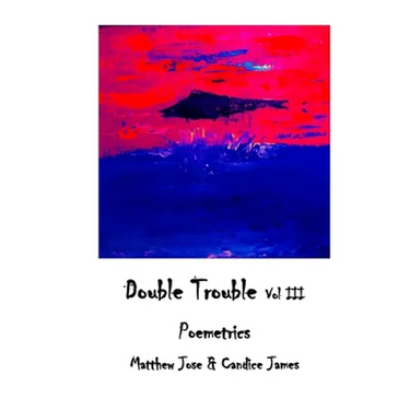 Double Trouble Vol III - Poemetrics: Poemetrics