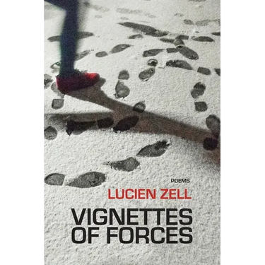 Vignettes of Forces: poems