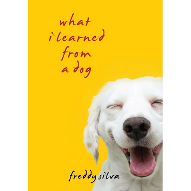 What I Learned From A Dog