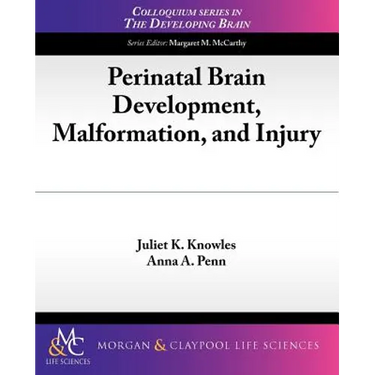 Perinatal Brain Development, Malformation, and Injury