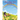 God, Dogs and Rainbows