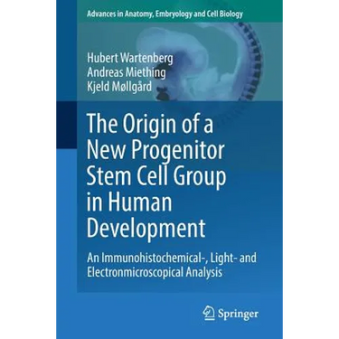 The Origin of a New Progenitor Stem Cell Group in Human Development: An Immunohistochemical-, Light- And Electronmicroscopical Analysis