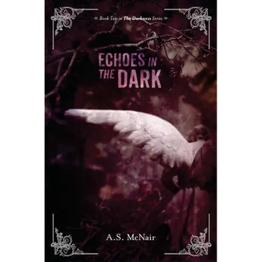 Echoes In the Dark: Book Two in the Darkness Series
