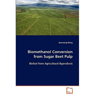 Biomethanol Conversion from Sugar Beet Pulp