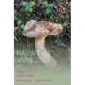 Matsutake Worlds